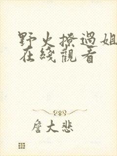野火撩过姐姐心在线观看