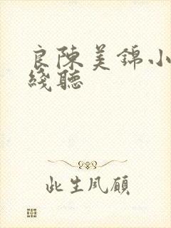 良陈美锦小说在线听