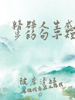 精辟人生感悟跑步的句子短句