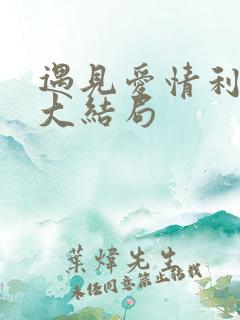 遇见爱情利先生大结局