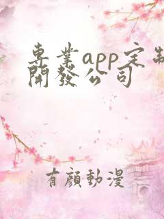 专业app定制开发公司