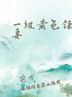 一级黄色录像夫妻