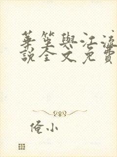 华笙与江流的小说全文免费阅读