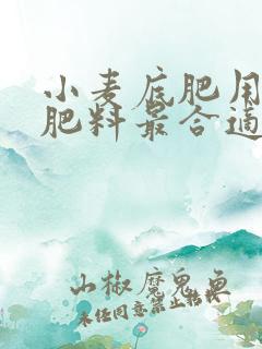 小麦底肥用什么肥料最合适