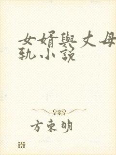女婿与丈母娘出轨小说