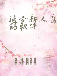 适合新人写小说的软件