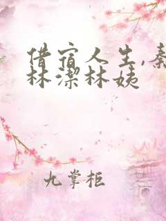 借宿人生,秦齐林洁林姨