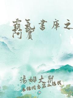 霸气书库之少年阿宾