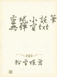 灵域小说笔趣阁无弹窗txt