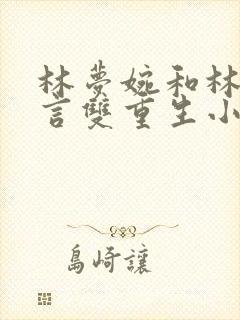 林梦婉和林煜古言双重生小说