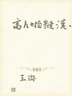 高h啪糙汉小说