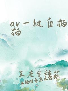 av一级自拍偷拍