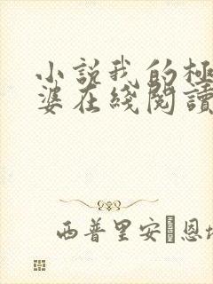 小说我的极品老婆在线阅读免费