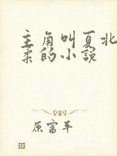 主角叫夏北许馨柔的小说