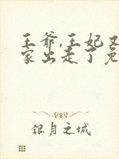 王爷,王妃又离家出走了免费全文阅读