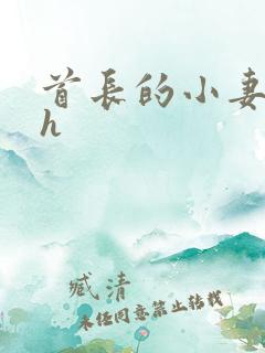 首长的小妻子高h