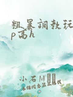 粗暴调教玩弄np高h