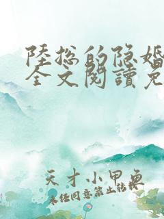 陆总的隐婚娇妻全文阅读免费