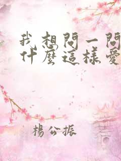 我想问一问你为什么这样爱我歌词