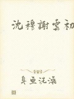 沈穆谢云初小说
