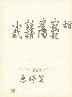 小说蜜宠甜妻总裁请独宠