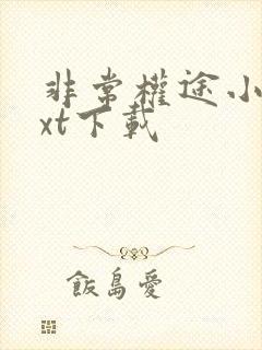 非常权途小说txt下载
