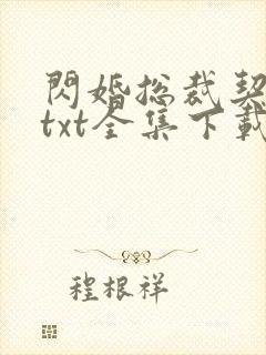 闪婚总裁契约妻txt全集下载