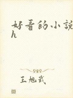 好看的小说言情h