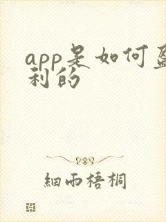 app是如何盈利的