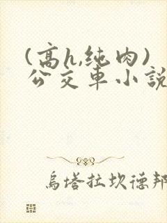 (高h,纯肉)公交车小说