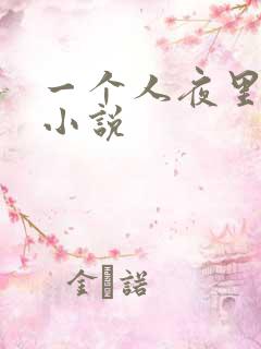 一个人夜里看的小说