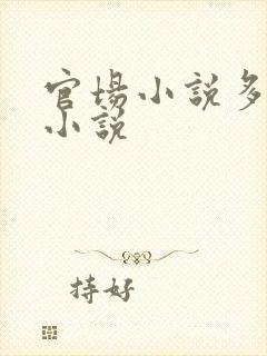 官场小说多女主小说