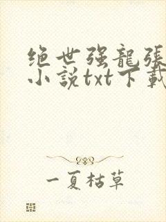 绝世强龙张龙虎小说txt下载完整版