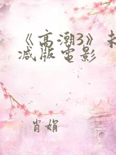 《高潮3》未删减版电影