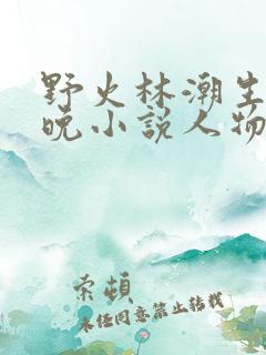 野火林潮生林晚晚小说人物野火