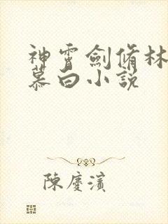 神霄剑修林枫苏慕白小说