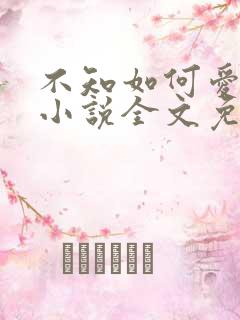不知如何爱你时小说全文免费阅读