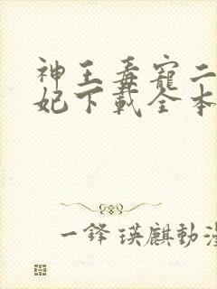 神王毒宠二嫁王妃下载全本txt