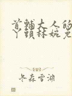 首辅大人的通房丫头林婉免费阅读小