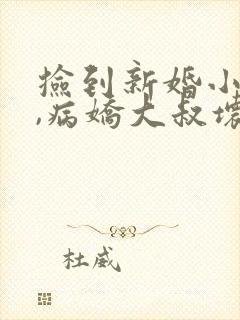 捡到新婚小甜妻,病娇大叔坏坏宠txt下载
