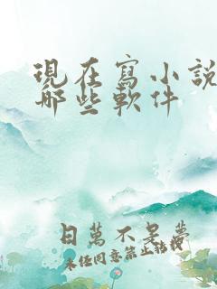 现在写小说都用哪些软件