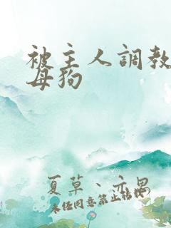 被主人调教成小母狗
