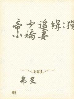 帝少追缉:独宠小娇妻