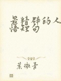 最精辟的人生感悟短句