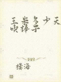 玉米多少天可以吃棒子