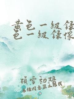 黄色一级录像黄色一级录像