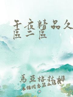 午夜精品久久一区二区