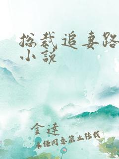 总裁追妻路漫漫小说