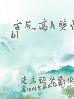 古风高h双性受bl