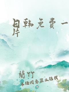 日韩免费一级淫片